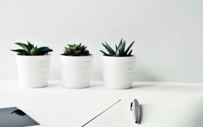 Bureau avec papier crayon et trois petites plantes verte